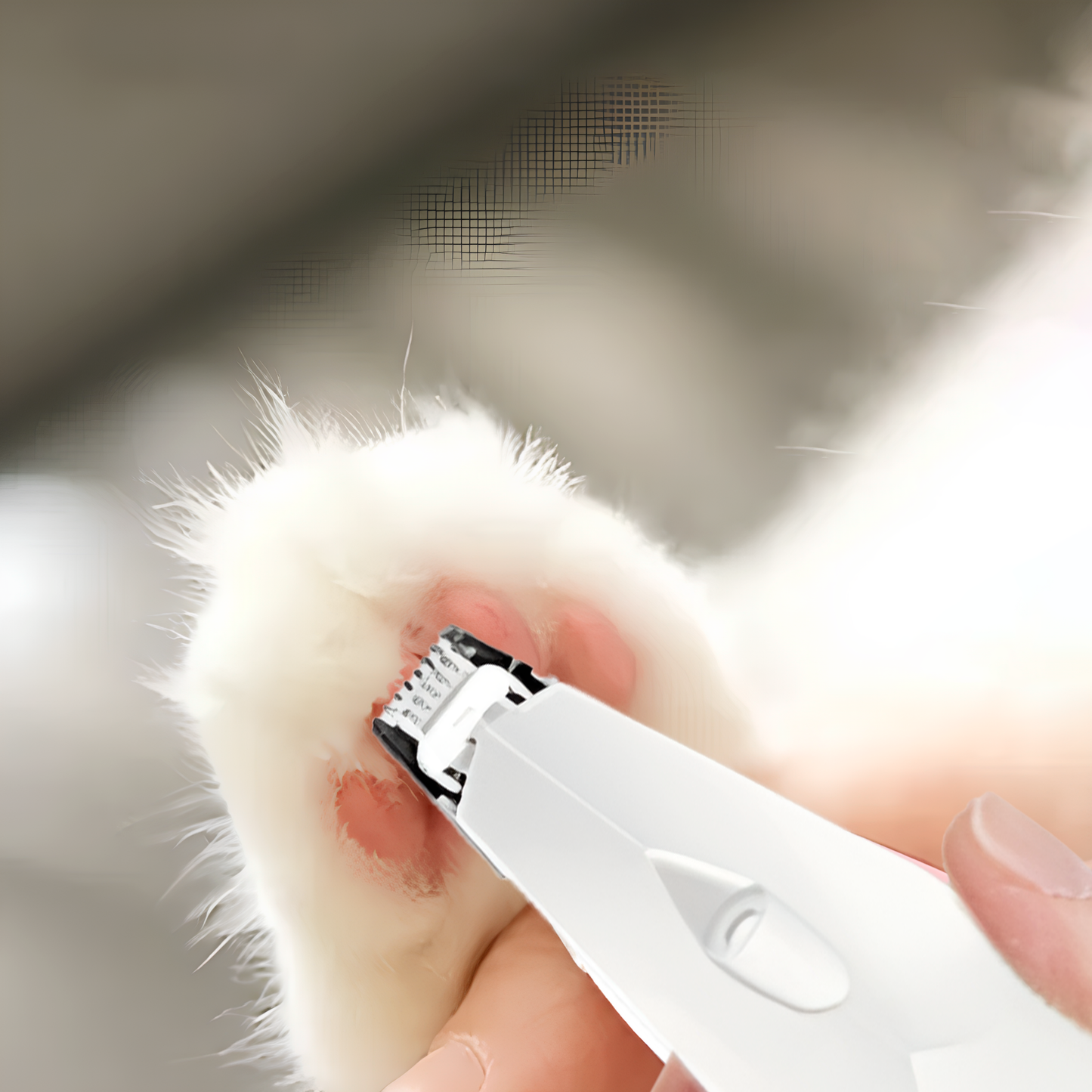 Pet Grooming Clippers