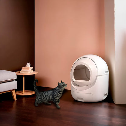 Cat Litter Box